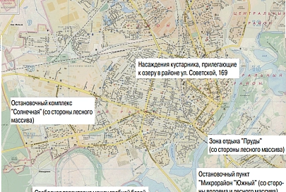 Энтомологи рассказали, где можно подхватить клеща